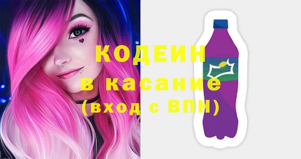 хмурый Алексин