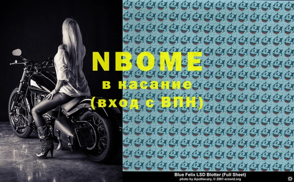 хмурый Алексин