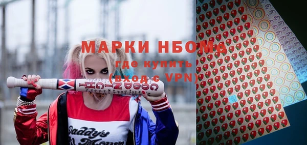 хмурый Алексин