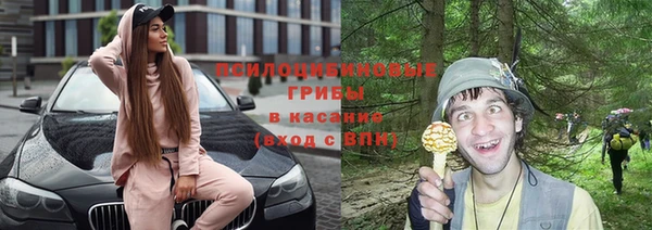 хмурый Алексин