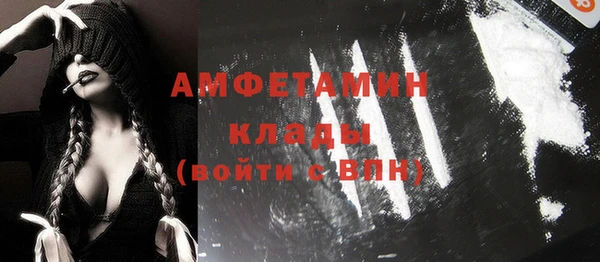 хмурый Алексин