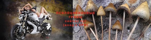 хмурый Алексин