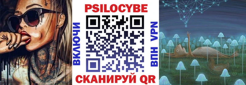 Купить закладки  Сухиничи  Псилоцибиновые грибы Psilocybe 